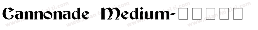Cannonade Medium字体转换